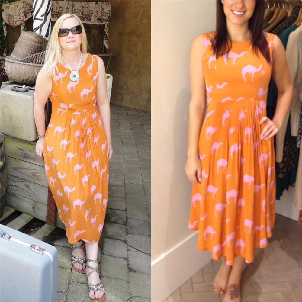 {Anthro} Charlotte Taylor Dromedary dress - Picture 3 of 5